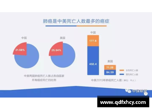 球员数据查询：深度分析与比较